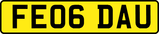 FE06DAU