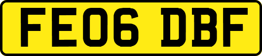 FE06DBF
