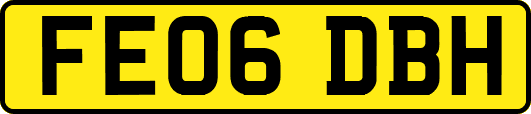 FE06DBH