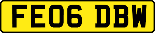 FE06DBW