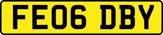 FE06DBY