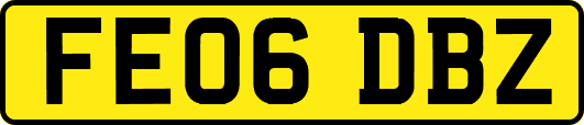 FE06DBZ