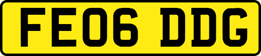 FE06DDG