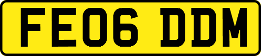 FE06DDM
