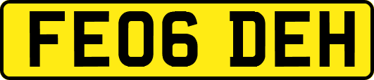 FE06DEH