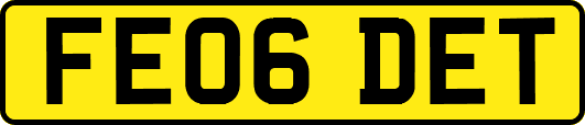 FE06DET