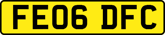 FE06DFC