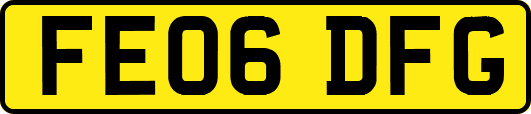 FE06DFG