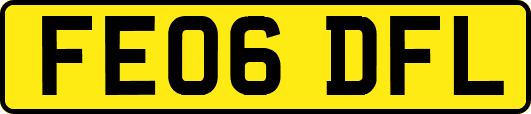 FE06DFL