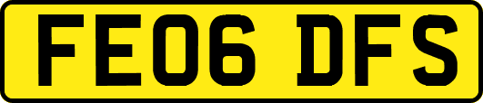 FE06DFS