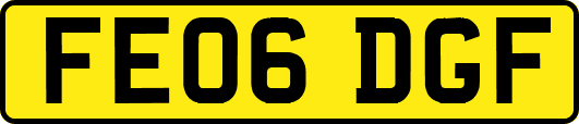 FE06DGF