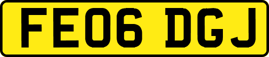FE06DGJ