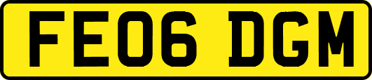 FE06DGM