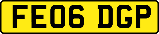 FE06DGP