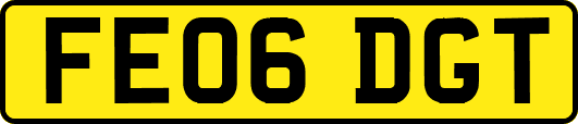 FE06DGT