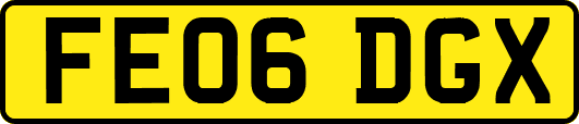 FE06DGX