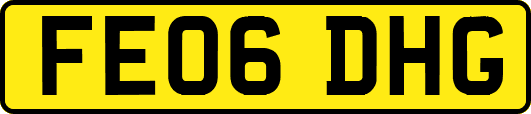 FE06DHG