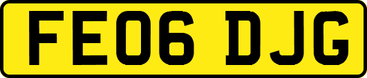 FE06DJG