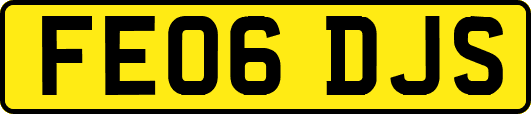 FE06DJS