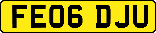 FE06DJU