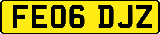 FE06DJZ