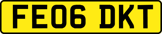FE06DKT