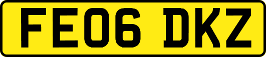 FE06DKZ