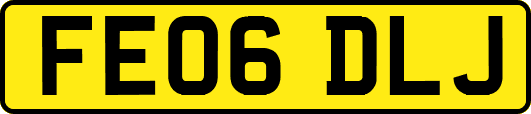 FE06DLJ