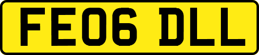 FE06DLL