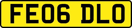 FE06DLO