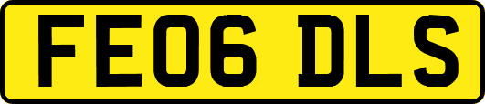 FE06DLS