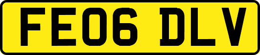 FE06DLV