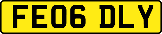 FE06DLY