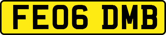 FE06DMB