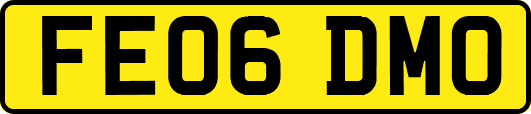 FE06DMO