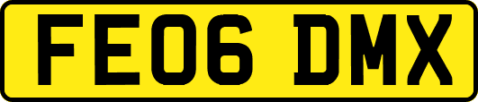 FE06DMX