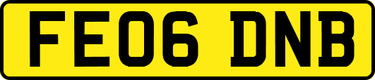 FE06DNB