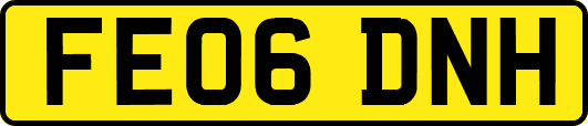 FE06DNH