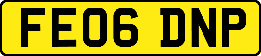 FE06DNP