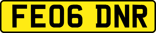 FE06DNR