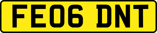 FE06DNT
