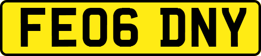 FE06DNY