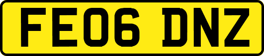 FE06DNZ