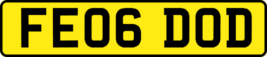FE06DOD