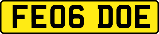 FE06DOE