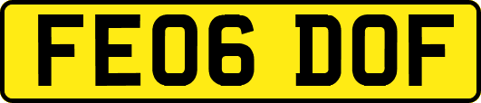 FE06DOF