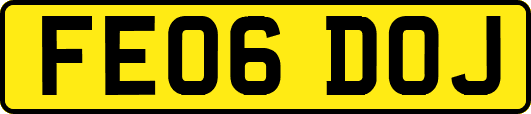 FE06DOJ