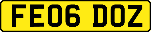 FE06DOZ