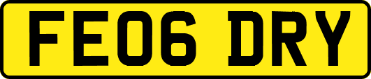 FE06DRY