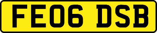 FE06DSB